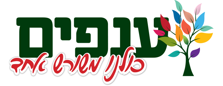 ענפים